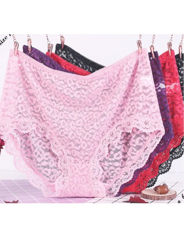 Sexy Lace See Through High Waisted Hollow Panties